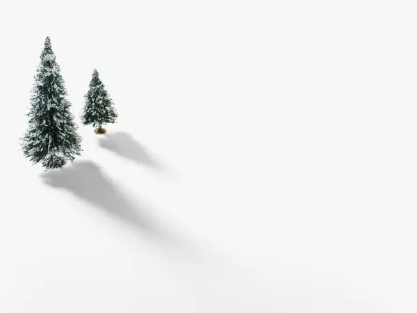 Jodły Pokryte Śniegiem — Zdjęcie stockowe