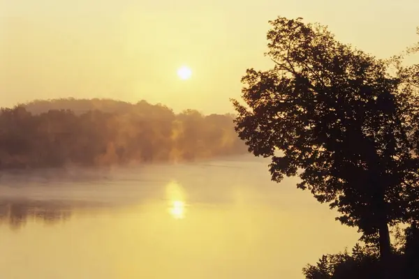 美国田纳西州坎伯兰河上的雾 — 图库照片