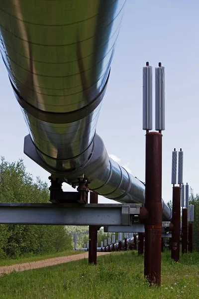 Alaska Pipeline Alaska — Foto de Stock