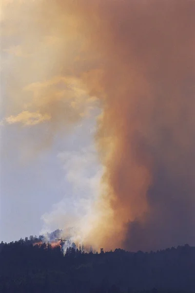 Forest Fire Natural Disaster — Stock Photo, Image