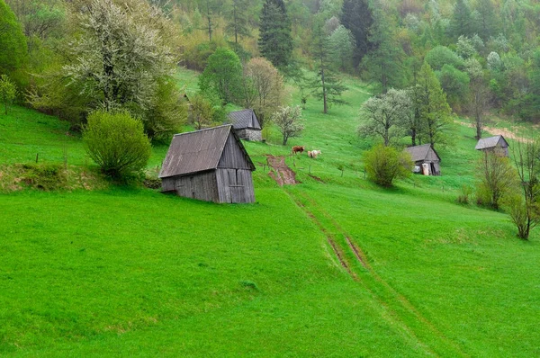 Old Wooden Houses Green Grass Field Soca Valley Slovenia — Stock Photo, Image