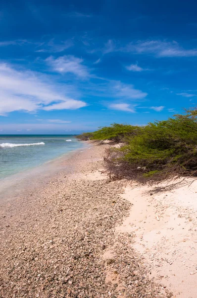 Costa Escénica Playa Arashi Aruba Antillas Menores Caribe —  Fotos de Stock