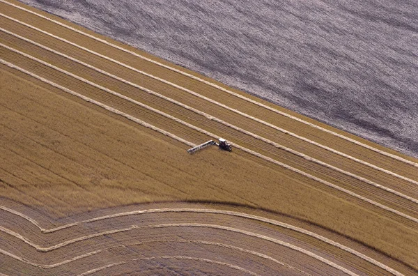 Wheat Swathing Саскачеван Канада — стоковое фото