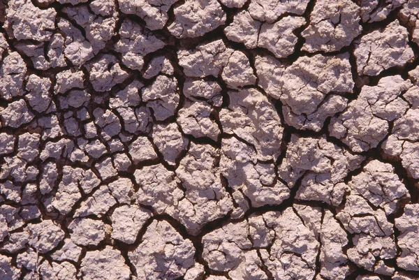干裂土壤质地背景 — 图库照片