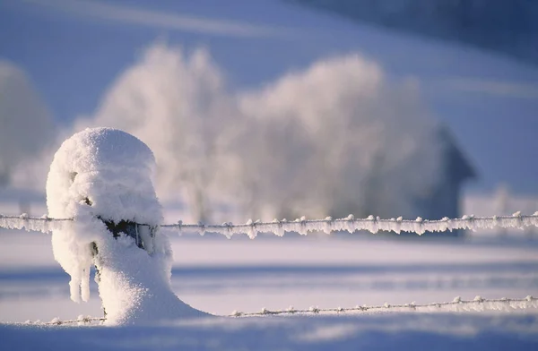 Winter Scenic View Ausztria — Stock Fotó