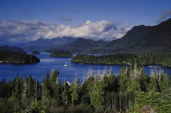 Tofino Harbour Vancouver Island British Columbia Kanada — Stockfoto