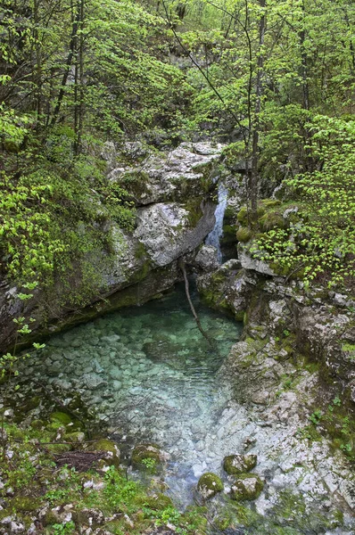 Piękna Rzeka Soca Słowenii — Zdjęcie stockowe