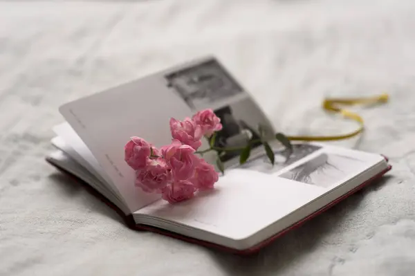 Abrir Livro Com Rosas Close — Fotografia de Stock