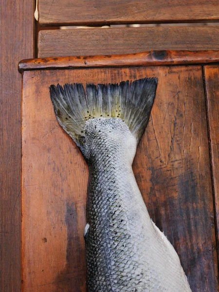 Крупный План Рыбного Хвоста — стоковое фото