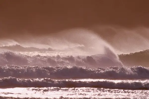 Rüzgar Dalgaları Oregon Sahili Oregon Abd — Stok fotoğraf