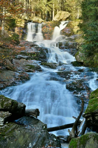 Вид Водоспад Струмок Восени Баварський Лісовий Національний Парк Bodenmais Regen — стокове фото
