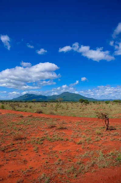 Tsavo National Park Kenya — Stock Photo, Image
