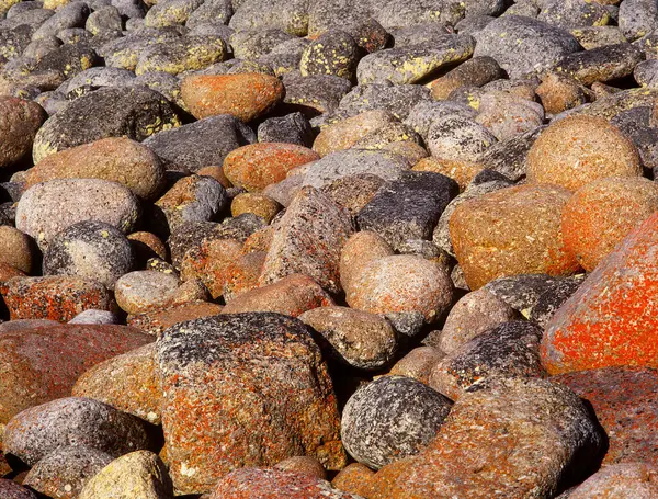 Primer Plano Las Piedras Granito Cubiertas Liquen Cerca Bicheno Tasmania —  Fotos de Stock