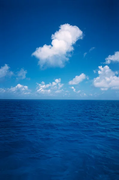 Tropikal Deniz Burnu Deniz Mavi Gökyüzü — Stok fotoğraf