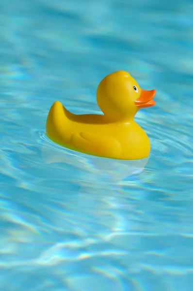 Rubber Duck in Water