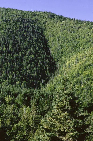 Гора Рядом Персе Квебек Канада — стоковое фото