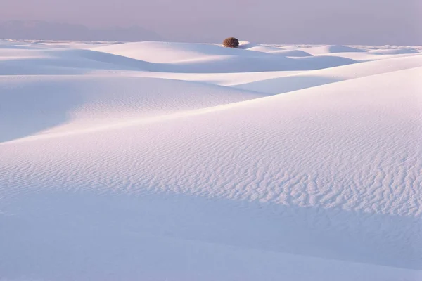 White Sands New Mexico Verenigde Staten — Stockfoto