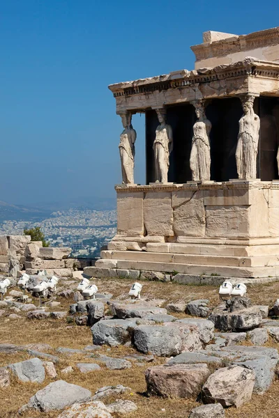Portyk Karyatidów Erechtheum Akropol Ateny Grecja — Zdjęcie stockowe