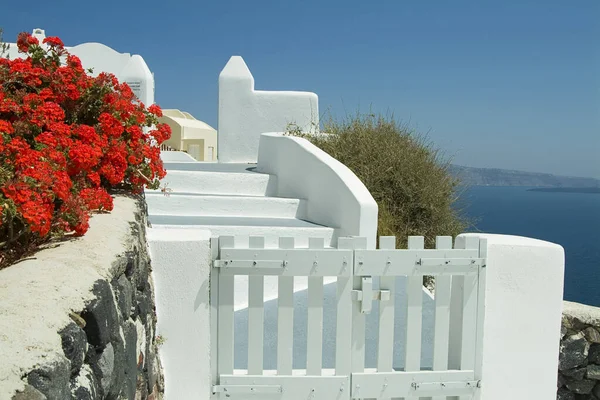 Geraniums Gate Staircase Oia Santorini Wyspy Cykladowe Grecja — Zdjęcie stockowe