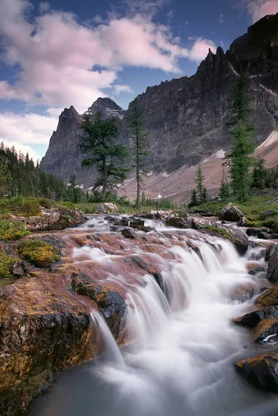 Opabin Plateau Waterfall Yoho National Park Colúmbia Britânica Canadá — Fotografia de Stock