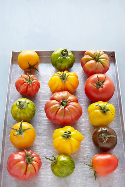 Heirloom Tomater Stäng — Stockfoto
