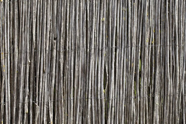 Close Fence Made Thin Wooden Sticks Royan Charente Maritime France — Stock Photo, Image