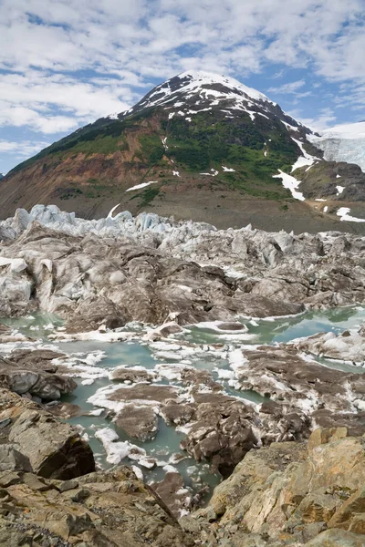 Glacier Salmon Montagnes Côtières Colombie Britannique Canada — Photo
