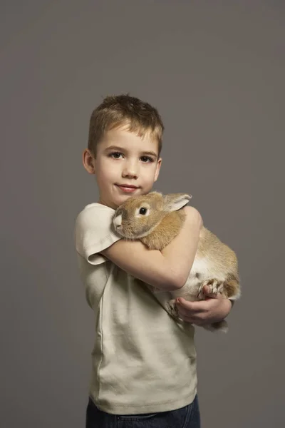 Retrato Boy Holding Rabbit — Fotografia de Stock