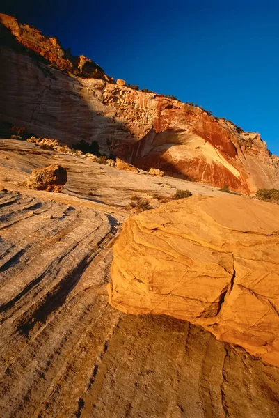 White Cliffs Zion Ulusal Parkı Utah Abd — Stok fotoğraf