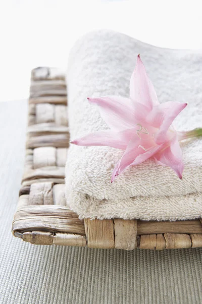 Lily Ręcznik Izolowane Białym Tle — Zdjęcie stockowe