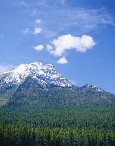 山の風景 ジャスパー国立公園 カナダ — ストック写真