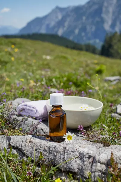 Homeopathic Medicine Chamomile Strobl Salzburger Land Austria — Stock Photo, Image