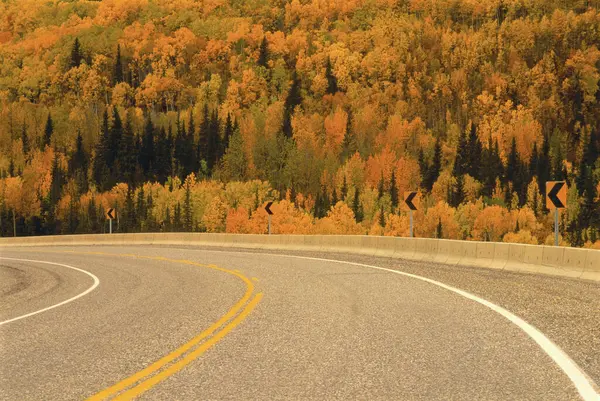 Sonbahar Ormanı Manzarasında Yol — Stok fotoğraf