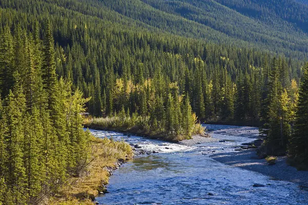 Rapids River Sheep River Provincial Park Kananaskis Country Alberta Canadá — Fotografia de Stock