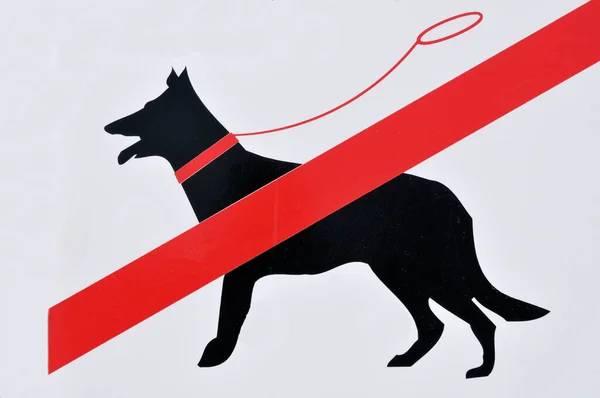 Znak Niedozwolonego Psa Bretagne Francja — Zdjęcie stockowe