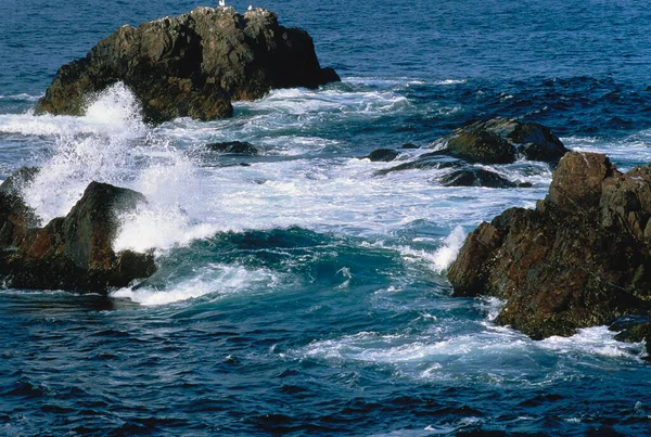Waves Crashing Rocks Spillar Cove Newfoundland Labrador Canada — Stock fotografie