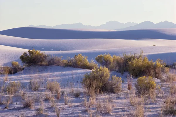 White Sands New Mexico Usa — ストック写真