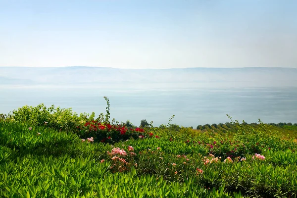 Galilee Denizi Tiberias Gölü Srail — Stok fotoğraf