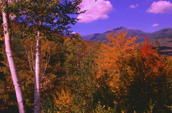 Jesień Pinkham Notch White Mountain National Forest New Hampshire Usa — Zdjęcie stockowe