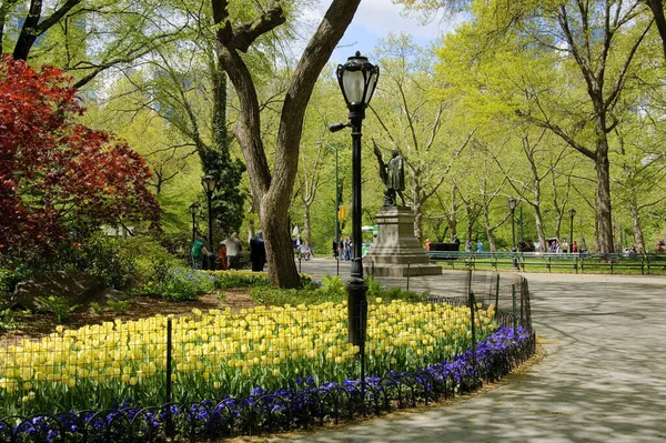 Central Park Spring Nyc New York Usa — Foto Stock