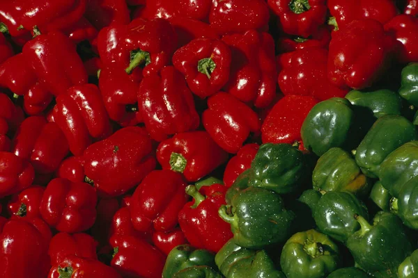 Red Green Peppers — Stock Photo, Image