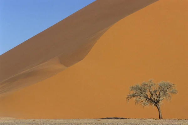 Pustynia Namib Susza Namibia — Zdjęcie stockowe