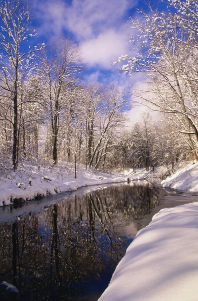 Winter Gatineau Park Quebec Kanada — Stockfoto