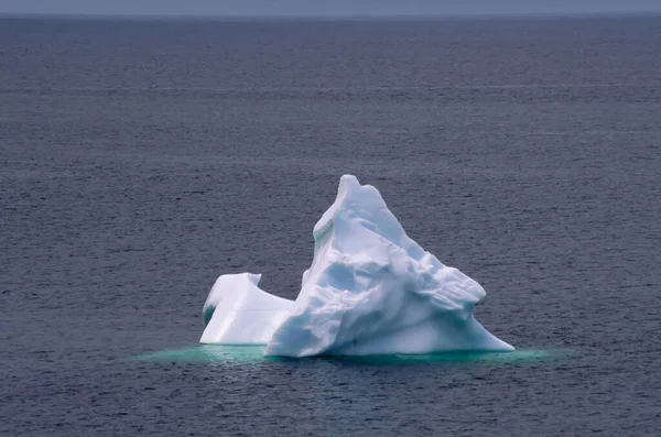 Ledovec Ostrov Twillingate Newfoundland Kanada — Stock fotografie