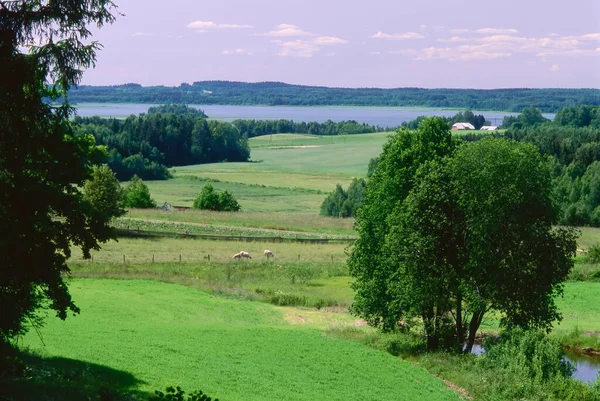 Letonya Nın Kırsal Kesimi — Stok fotoğraf