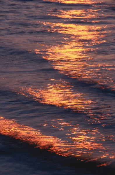 Sätter Solen Vatten Nationalpark Prins Edward Island Kanada — Stockfoto