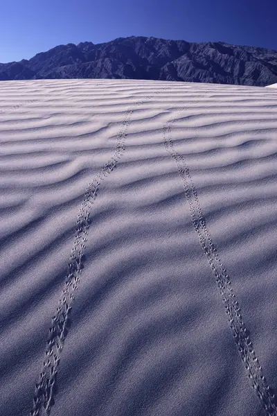 Death Valley California Usa — Stock Photo, Image