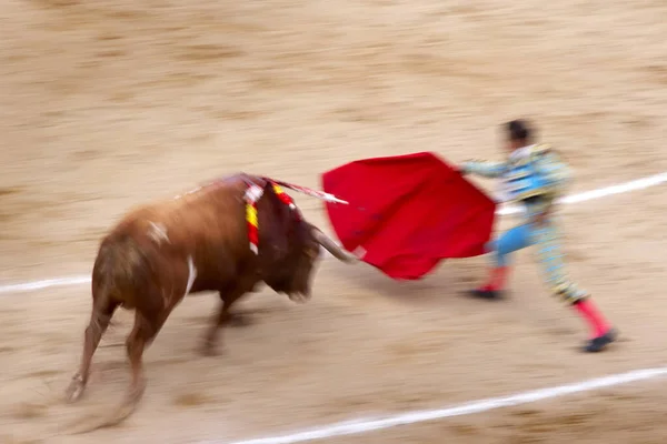 Bullfighter Las Ventas Madrid Spain — стокове фото