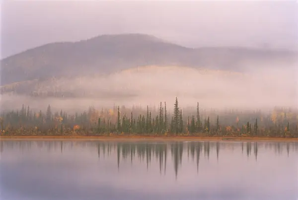 Köd Fák Hegyek Felett Tetlin National Wildlife Refuge Alaska Usa — Stock Fotó
