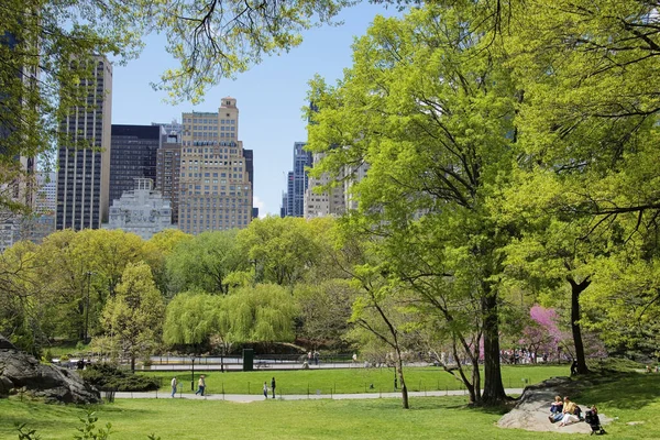 Центральный Парк Весне Нью Йорк Сша — стоковое фото